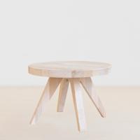 Plantentafel Brugge - S