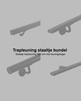 Set staaltjes trapleuningen zwart