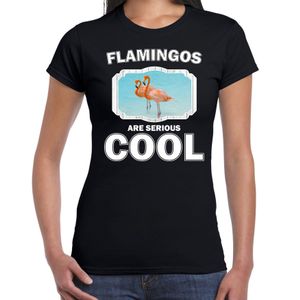T-shirt flamingos are serious cool zwart dames - flamingo vogels/ flamingo shirt
