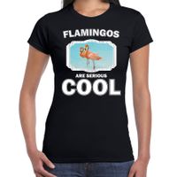 T-shirt flamingos are serious cool zwart dames - flamingo vogels/ flamingo shirt - thumbnail