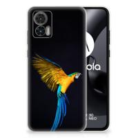 Motorola Edge 30 Neo | TPU Hoesje | Papegaai