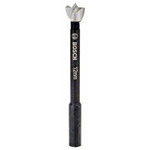 Bosch Accessories 2608577001 Forstnerboor 12 mm 1 stuk(s)