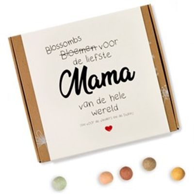 Bio Bloembommetjes Voor Moeders