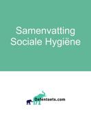 Sociale Hygiëne - D.P. Braam - ebook