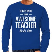 Awesome Teacher / leraar cadeau sweater blauw heren - thumbnail