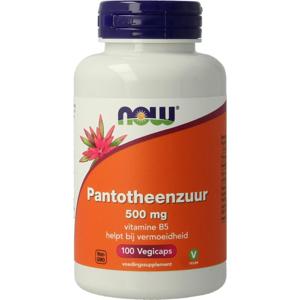 NOW Pantotheenzuur 500mg (B5)