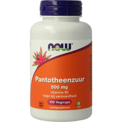 NOW Pantotheenzuur 500mg (B5)