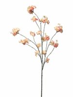 Prunus malaga spray pink 126cm