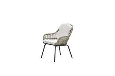 Triton dining fauteuil