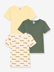 Set van 3 T-shirts met korte mouwen PETIT BATEAU groen