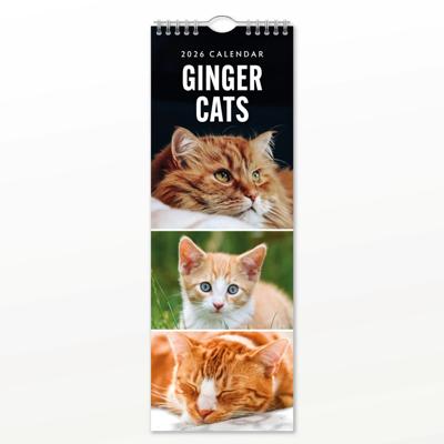 Rode Katten Slimline Kalender 2026