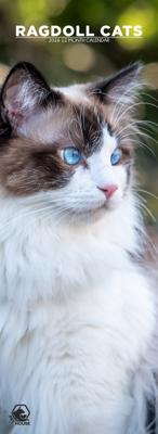 Ragdoll Slimline Kalender 2026