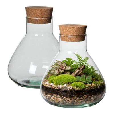 Atmosphera Vaas Terrarium - 2x - rond - met kurk - glas - D22.5 x H24 cm - transparant - kurk dop