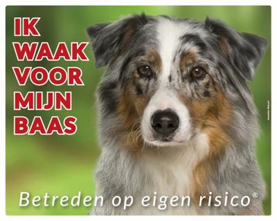 Australian Shepherd Waakbord Australian Shepherd Waakbord