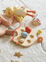 Kip met zijn eieren met vormen van FSCÂ®-hout hout