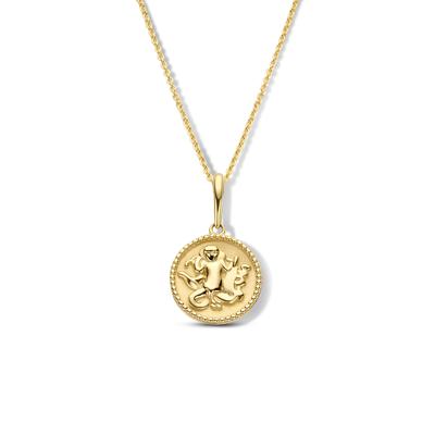 Minimalistische sterrenbeeld ketting - 14K GOUD - Virgo - maagd - Goud