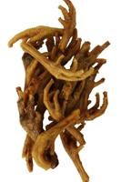 PETSNACK KIPPENPOTEN GEROOKT BRUIN