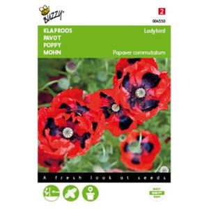 5 stuks Papaver commutatum Lady Bird Tuinplus