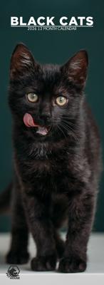 Zwarte Katten Slimline Kalender 2026
