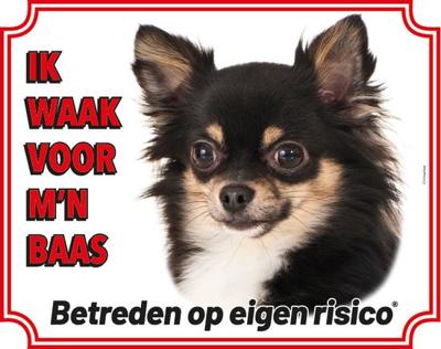 Chihuahua Langhaar Zwart Waakbord