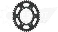 ESJOT Chain wheel 525 50z steel black