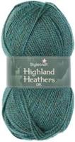 Stylecraft Highland Heathers DK 3747 Bracken