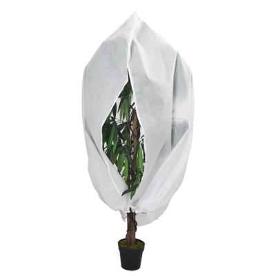 VidaXL Plantenhoes met ritssluiting 70 g/m² 3,14x2,5 m