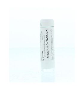 Arnica montana MK