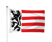 Vlag Sas van Gent