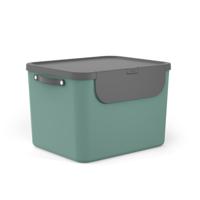 Rotho albula afvalscheider 55l mistletoe groen