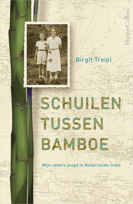 Schuilen tussen bamboe - Birgit Treipl - ebook