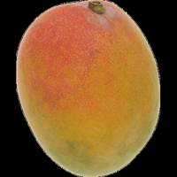 Jumbo Mango