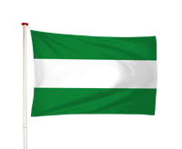 Vlag Oude Tonge