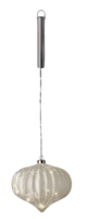 Warm wit 15 Micro-LED Ui frost zilver - Lumineo