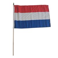 Luxe grote zwaaivlaggen Nederland - 30 x 45 cm - op lange stok - feestartikelen