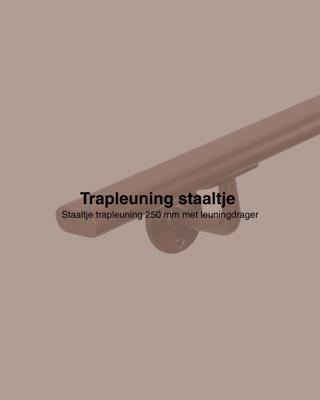 Staaltje trapleuning ovaal brons Staaltje trapleuning ovaal brons