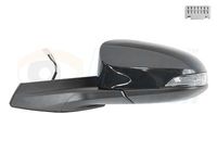 Buitenspiegel 5411817
