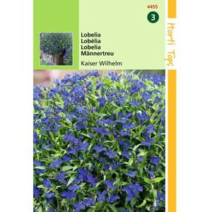 Hortitops - 2 stuks Lobelia Erinus Comp. Kaiser Wilhelm