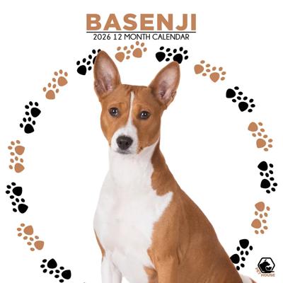 Basenji Kalender 2026 Basenji Kalender 2026