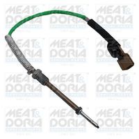 Sensor, uitlaatgastemperatuur 12293