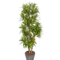 Groene Dracaena reflexa kunstplant 120 cm voor binnen   - - thumbnail