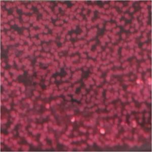 Creativ Company Glitterlijm donkerroze, 25ml