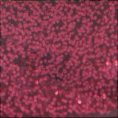 Creativ Company Glitterlijm donkerroze, 25ml