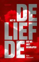 Het is de liefde die we niet begrijpen (Hardback)