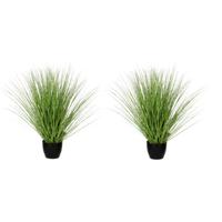 Mica Decorations Kunstgras - 2x stuks - grasplant - kunstplant - groen - in pot - H50 x D40 cm