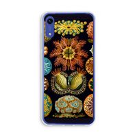Haeckel Ascidiae: Honor Play 8A Transparant Hoesje