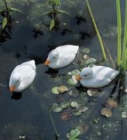 Acqua Arte vijverfiguur Eendenkuiken wit