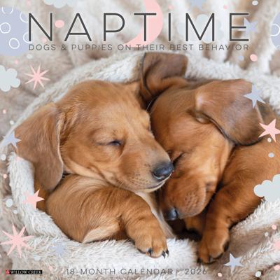 Dog Naps Kalender 2026 Dog Naps Kalender 2026