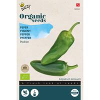 Buzzy - Organic Peper Padron (BIO) - thumbnail