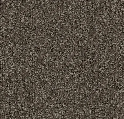 Coral Classic 4764 Taupe 155 cm breed